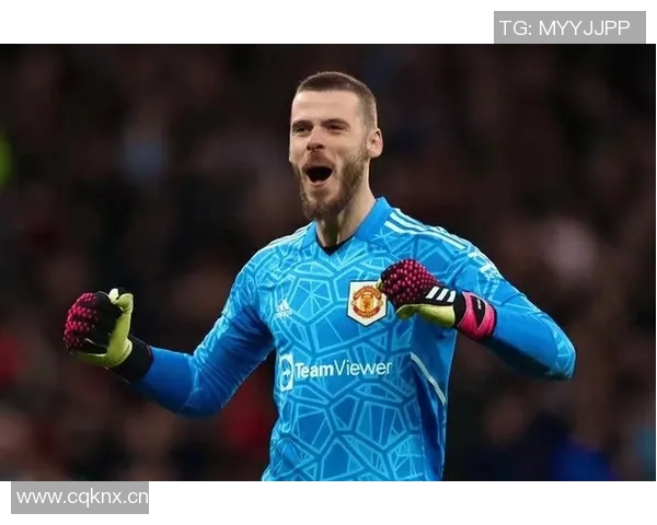 英超门将评分榜揭晓桑德兰门将表现抢眼多纳鲁马维卡里奥紧随其后