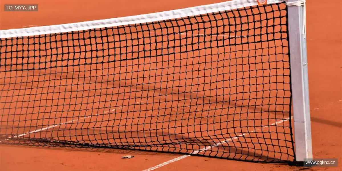 一键直击全球赛事，精彩从不缺席！🏀